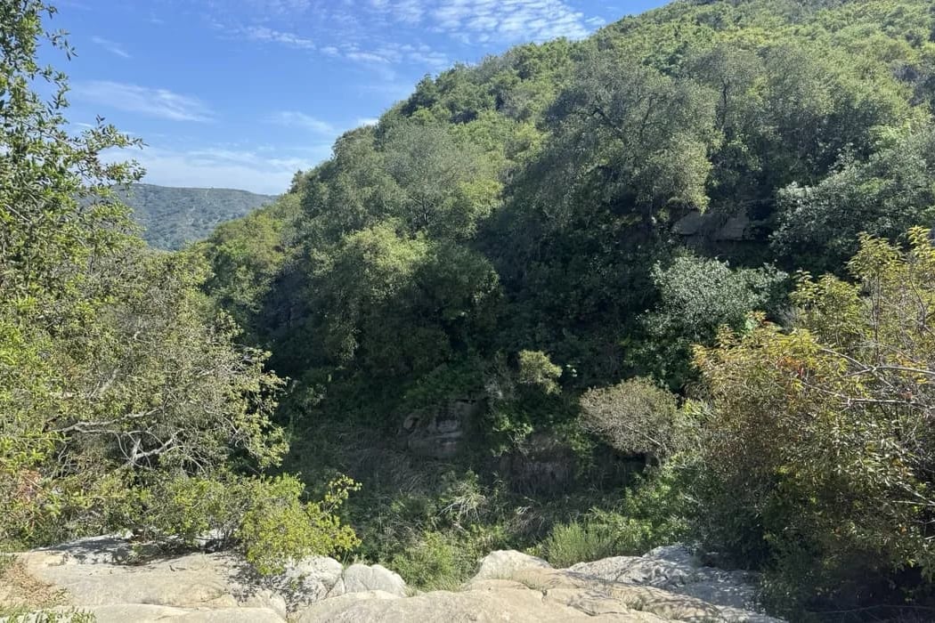 Explorers Hike: Laurel Canyon Loop 2